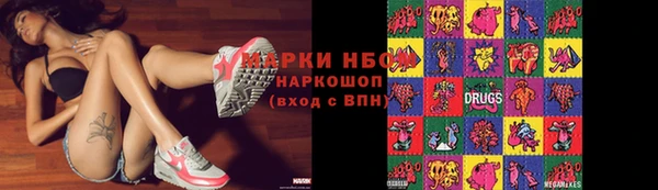 2c-b Инсар