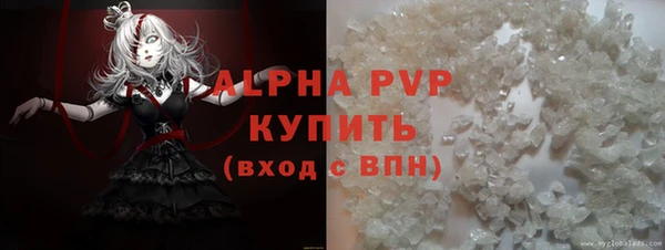 spice Каменногорск