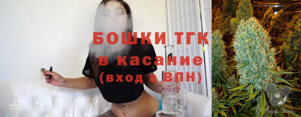 молекула духа Инта