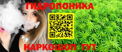 прущие грибы Будённовск