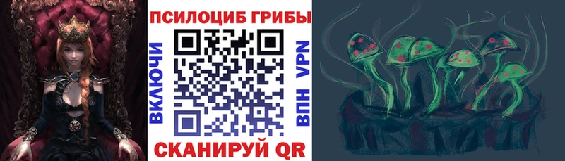 МЕГА онион  закладки  Владимир  Галлюциногенные грибы Cubensis 