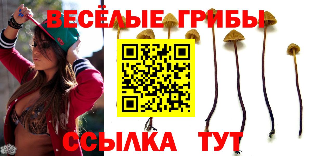 Псилоцибиновые грибы мухоморы Владимир