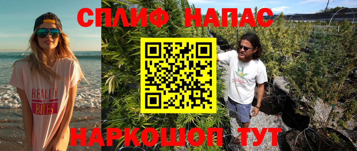 А ПВП Владимир